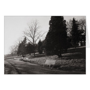 Bell Vue Park, Newport, lun (déc. 1977)