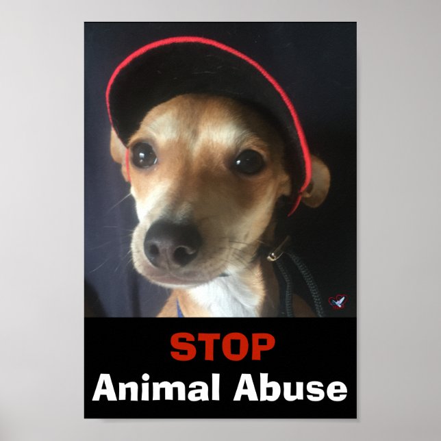 BELLA STOP ANIMAL ABUSE POSTER (Devant)