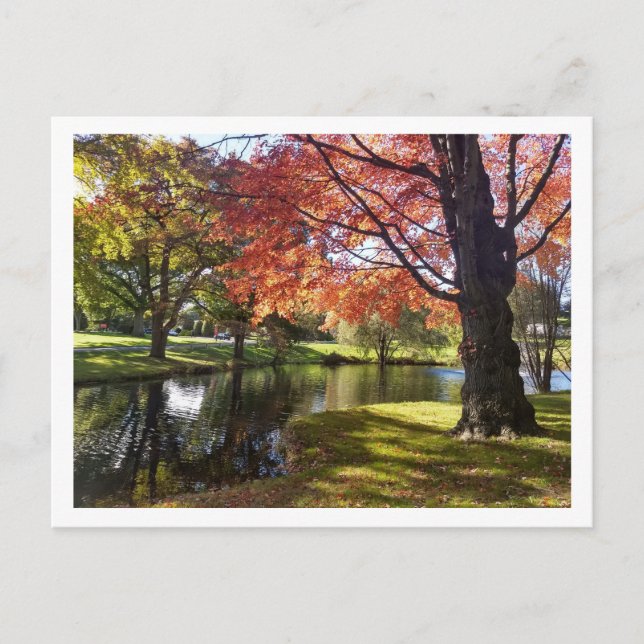 Bellarmine Pond, Fairfield University Carte postal (Devant)
