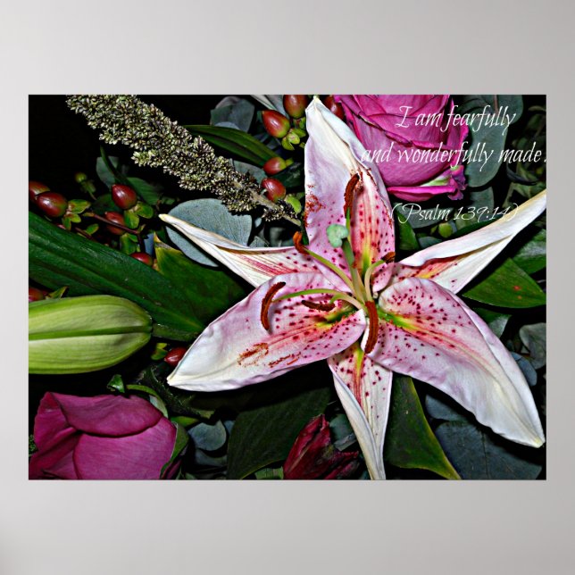 Belle affiche (Devant)