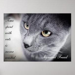 Belle affiche de citation de chat - de motivation