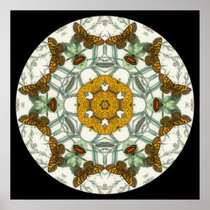 Belle affiche de mandala des ailes de papillons