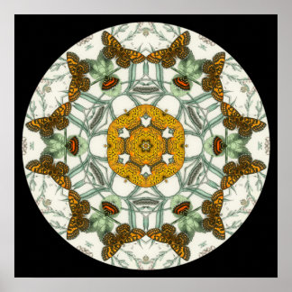 Belle affiche de mandala des ailes papillon