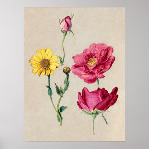 Belle affiche d'illustration Vintage