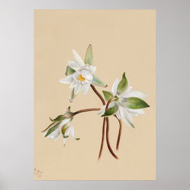Belle affiche d'illustration Vintage (Devant)