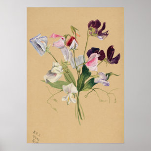 Belle affiche d'illustration Vintage