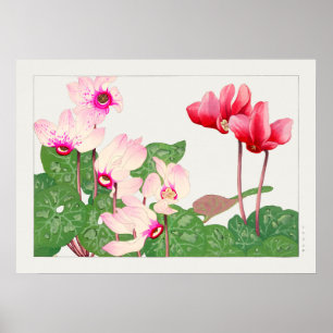 Belle affiche d'illustration Vintage