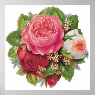 Belle affiche Rose Vintage