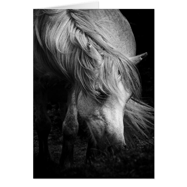 Belle Art Pony Head et Manne noir / carte (Devant)