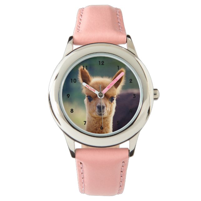 Belle Baby Alpaca Montre (devant)