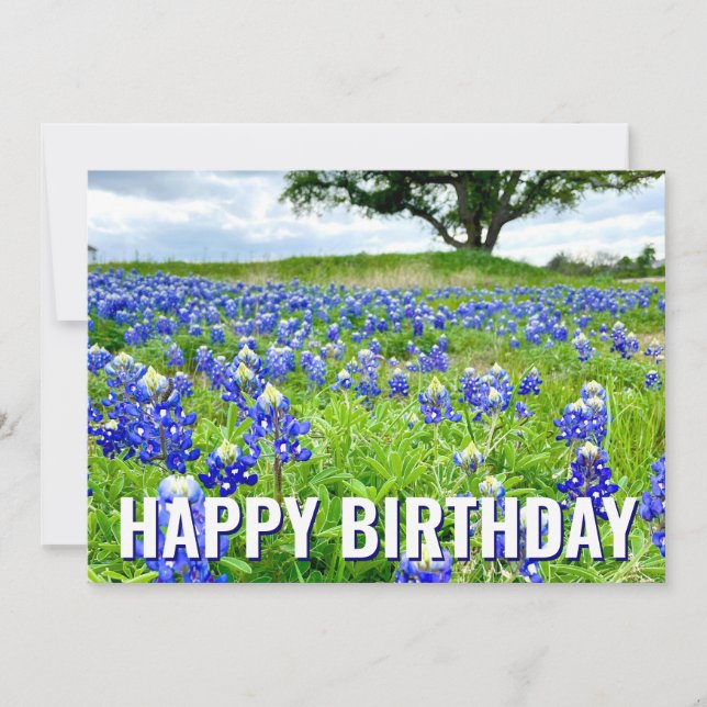 Belle Bluebonnets Photo Bonne carte d'anniversaire (Devant)