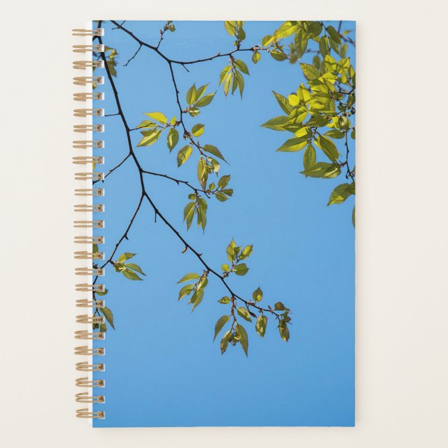 belle branche avec serrure feuille verte et jaune (Devant)