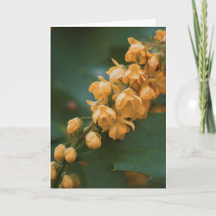 Belle carte blanche photo de fleurs
