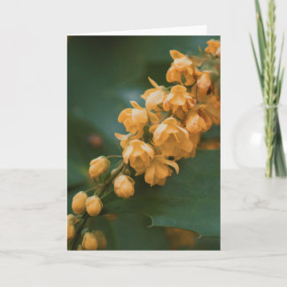 Belle carte blanche photo de fleurs