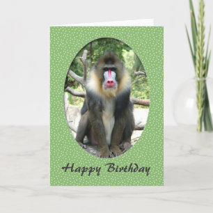 Belle carte d'anniversaire de babouin animal heure