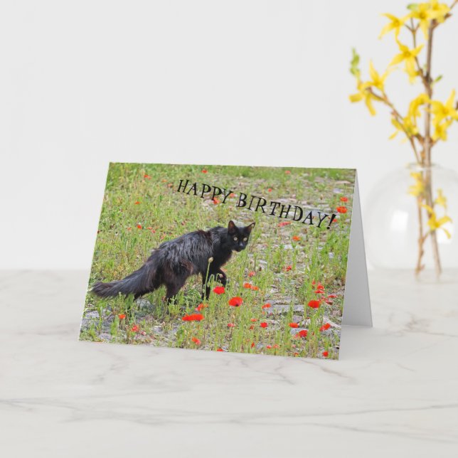 Belle carte d'anniversaire de Chat Noir! (Fleur jaune)
