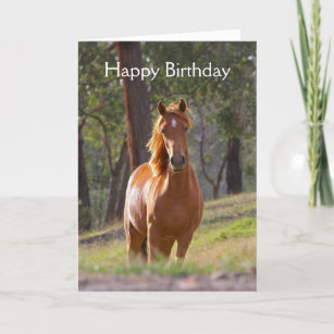 Belle carte d'anniversaire de photo de cheval de