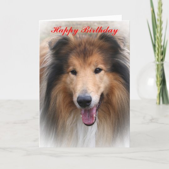 Belle Carte D Anniversaire De Photo De Chien Zazzle Fr