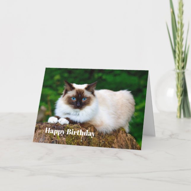 Belle carte d'anniversaire en chat siamois (Devant)