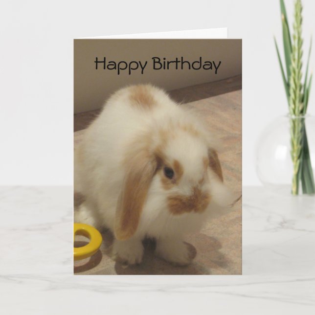 Belle Carte d'Anniversaire Rabbit (Devant)
