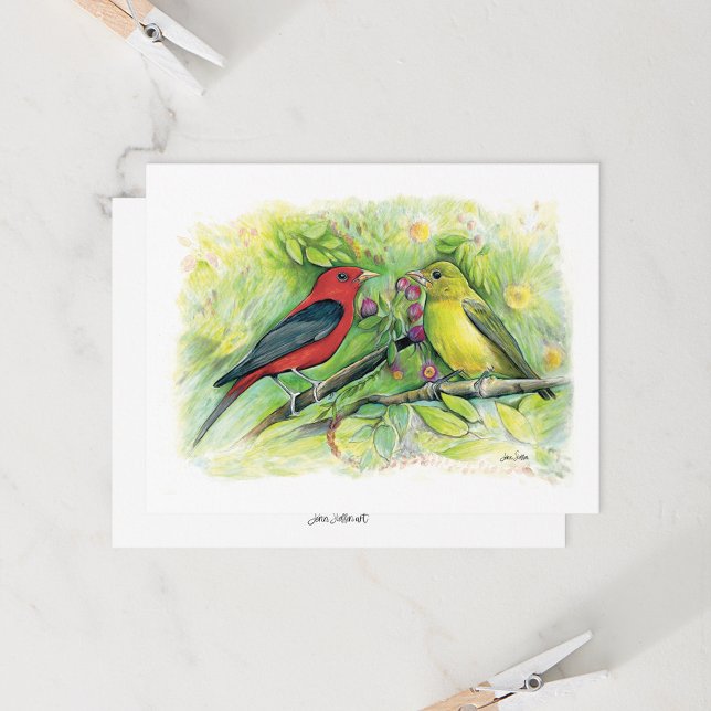 Belle carte de billet Couple Tanager Scarlet (Beautiful Scarlet Tanager Watercolor Blank Note Cards from Jenn Steffen Art)