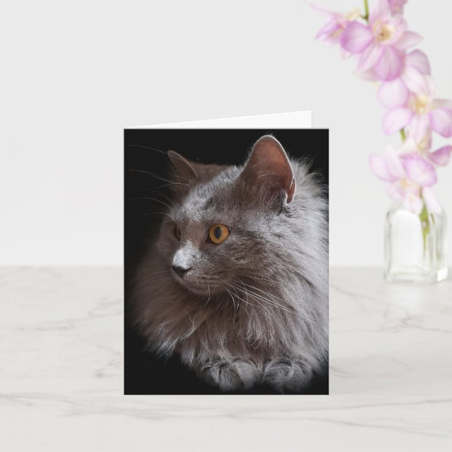 Belle carte de chat gris russe bleu Nebelung vierg (Orchidée)