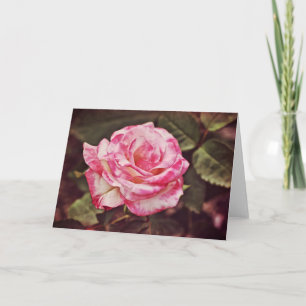 Belle Carte de Foi Rose Rose Pâle Psaume 102:26