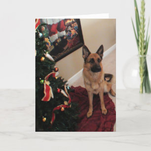 Belle carte de Noël berger allemand