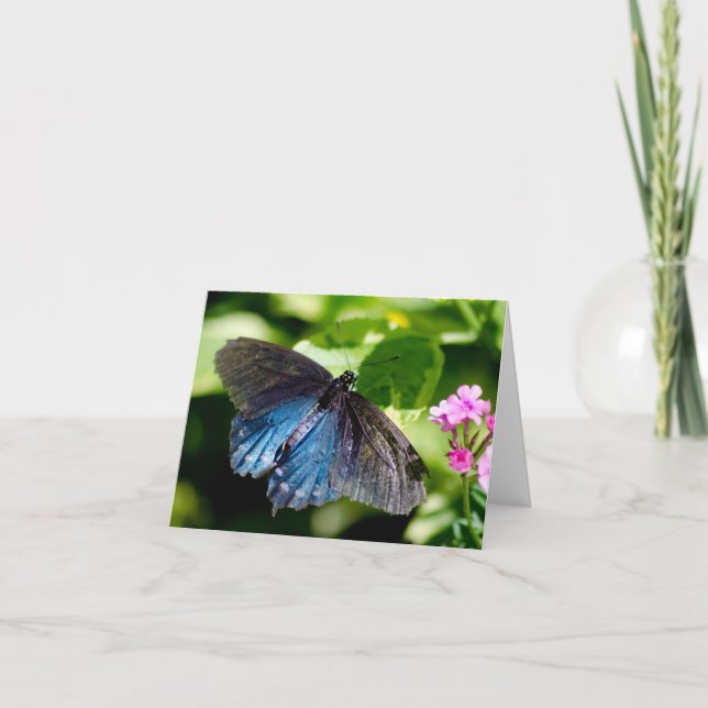 Belle carte de note noire et bleue de papillon (Devant)
