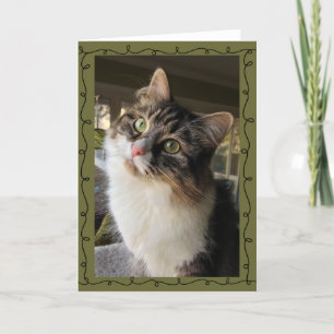 Belle carte de note sibérienne