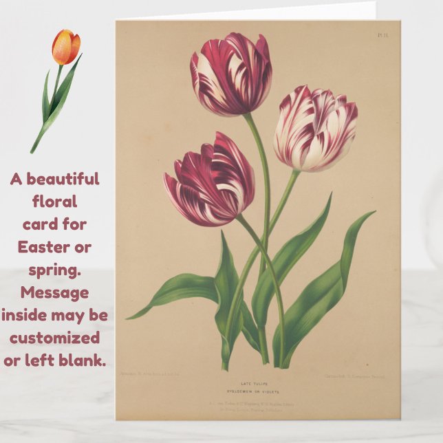 Belle carte de Pâques Tulipes Vintages (A beautiful vintage tulips card for Easter or any occasion.)