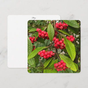 Belle carte de salutation aux fruits d'automne
