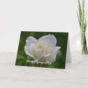 Belle Carte de Sympathie à la Fleur Rose Blanche
