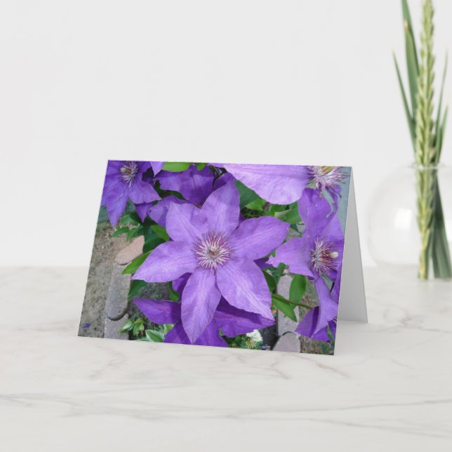 Belle carte de voeux à flanc de fleurs violettes (Devant)