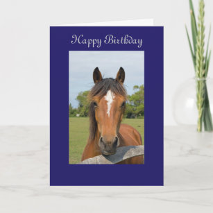 Cartes Cheval D Anniversaire Zazzle Fr