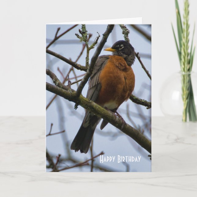 Belle carte de vœux d'anniversaire pour Merle d'Am (Devant)