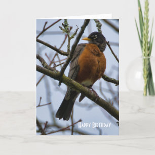 Belle carte de vœux d'anniversaire pour Merle d'Am