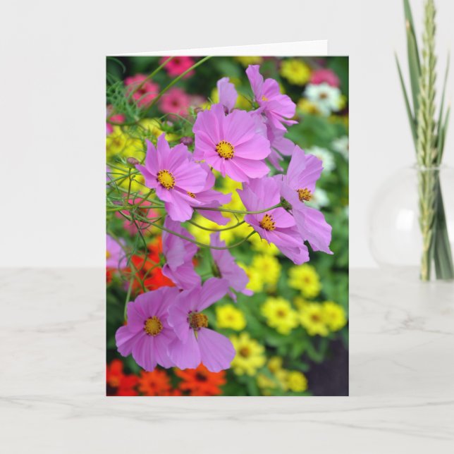 Belle carte de voeux d'impression fleurs cosmos (Devant)
