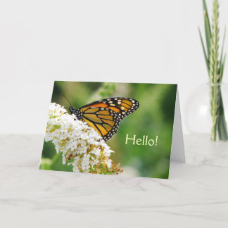 Belle carte de voeux papillon