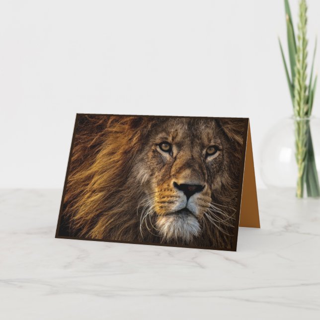 Belle carte de vœux pliée Lion (Devant)