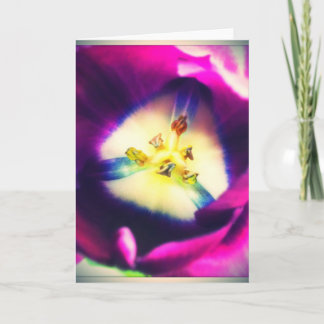 Belle carte de voeux pourpre de blanc de tulipe