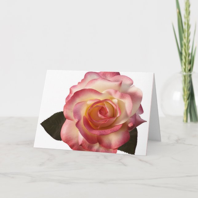 Belle Carte de voeux Rose. (Devant)