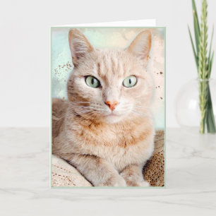 Belle Carte de voeux Tabby Cat