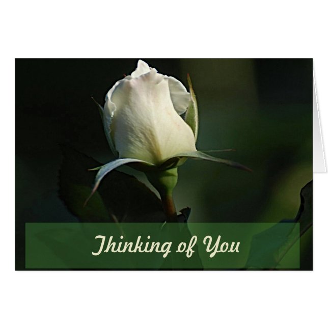 Belle carte de voeux White Rosebud (Devant horizontal)