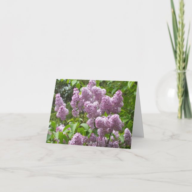 Belle carte Lilac Bush Blank Note (Devant)