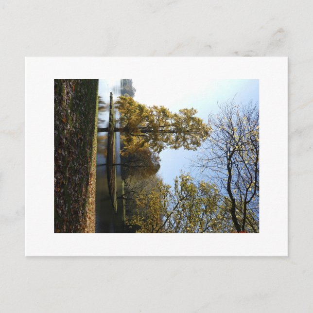 Belle Carte postale Arbre (Devant)