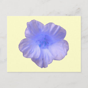 Belle carte postale bleu Nasturtium