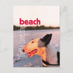 Belle carte postale Bull Terrier "Plage"