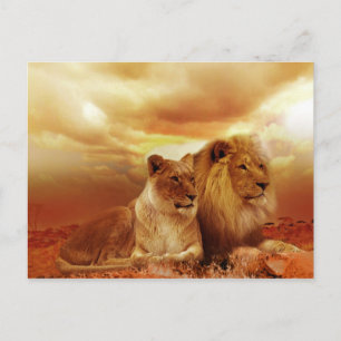 Belle carte postale Couple Lion