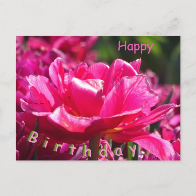 Belle carte postale d'anniversaire avec tulipe ros (Devant)